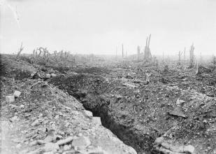 Shell Damaged Road to Bapaume